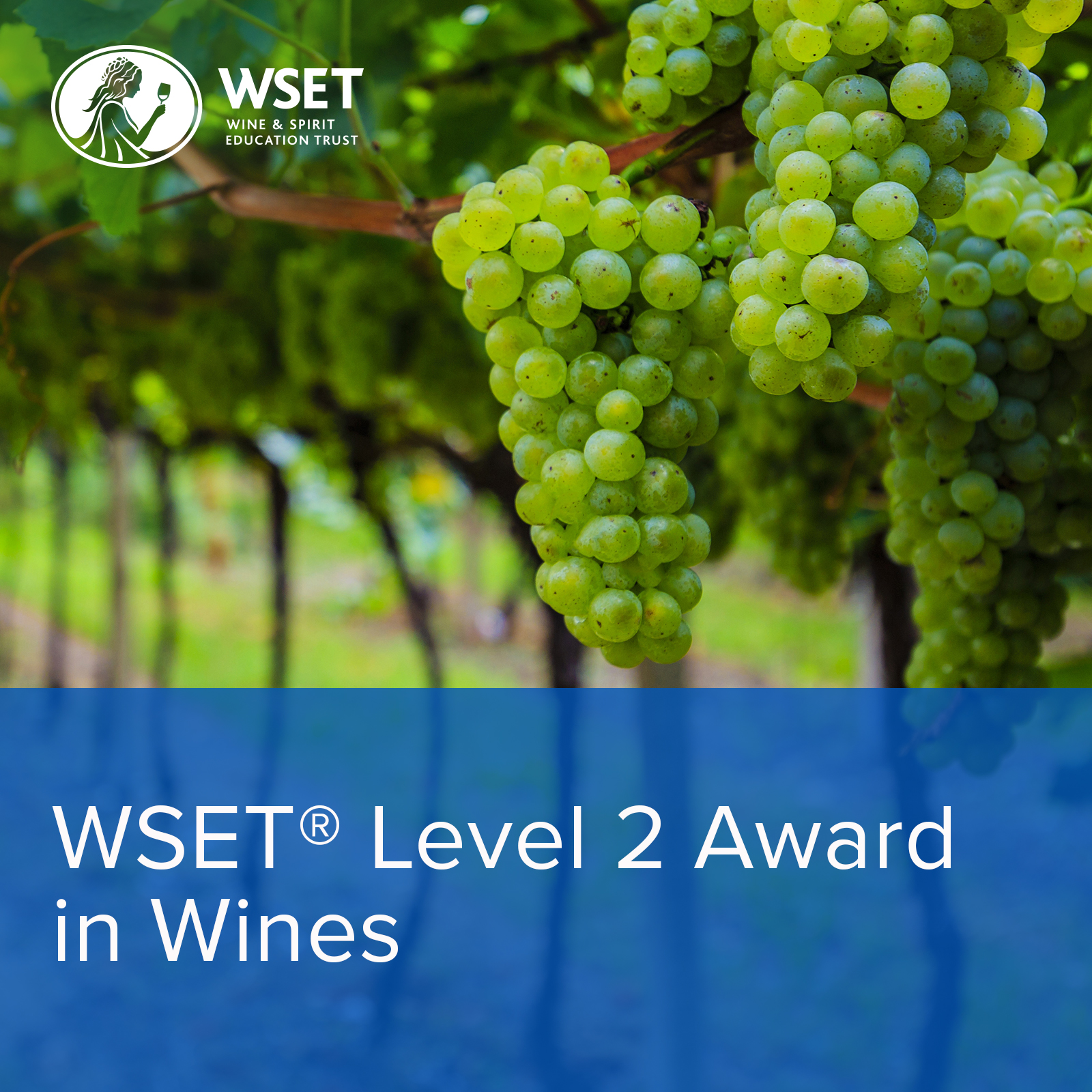 WSET Level 2 Award in Wines