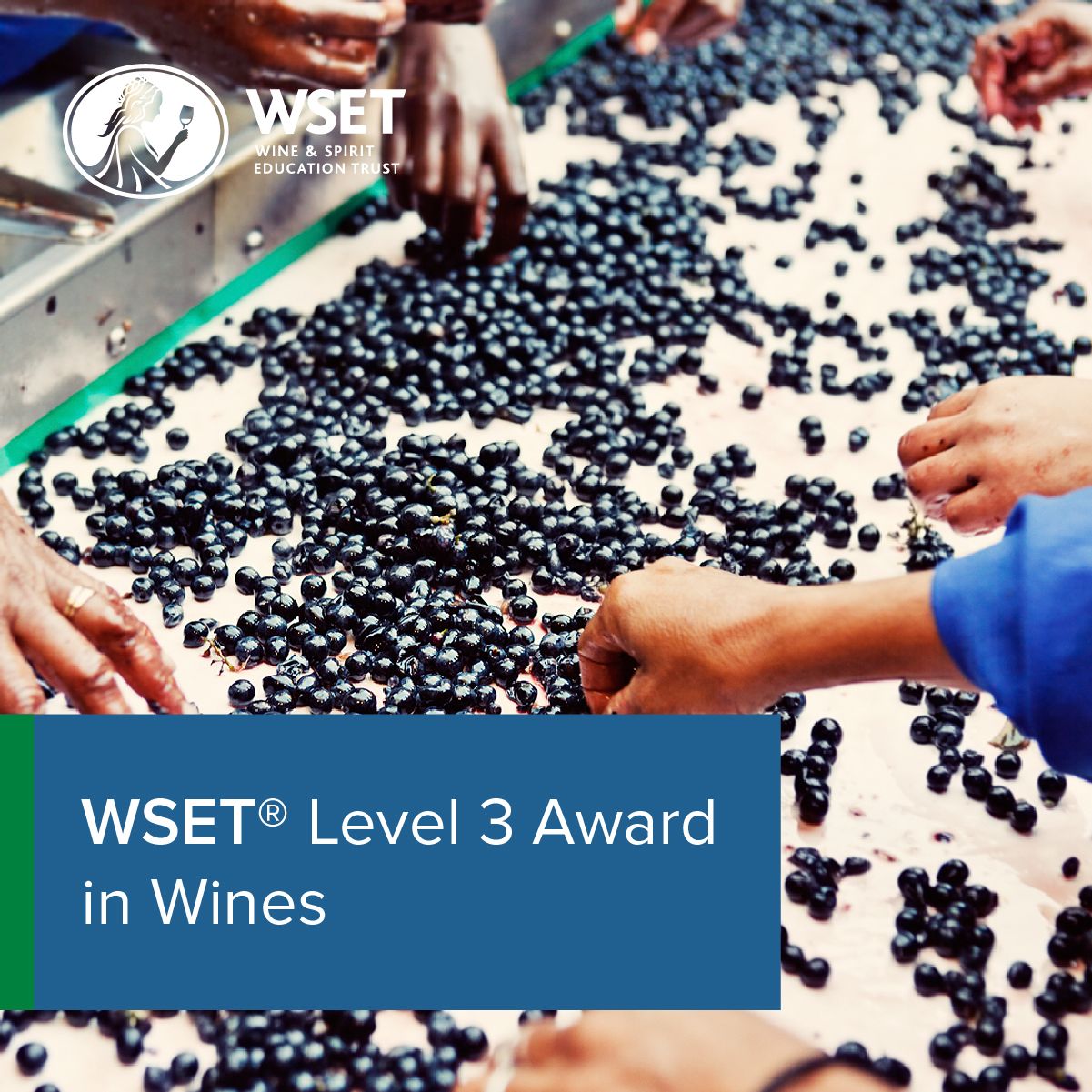 WSET Level 3 Awards in Wines