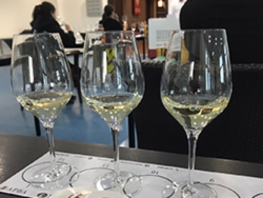 WSET Level 1 Award in Wines