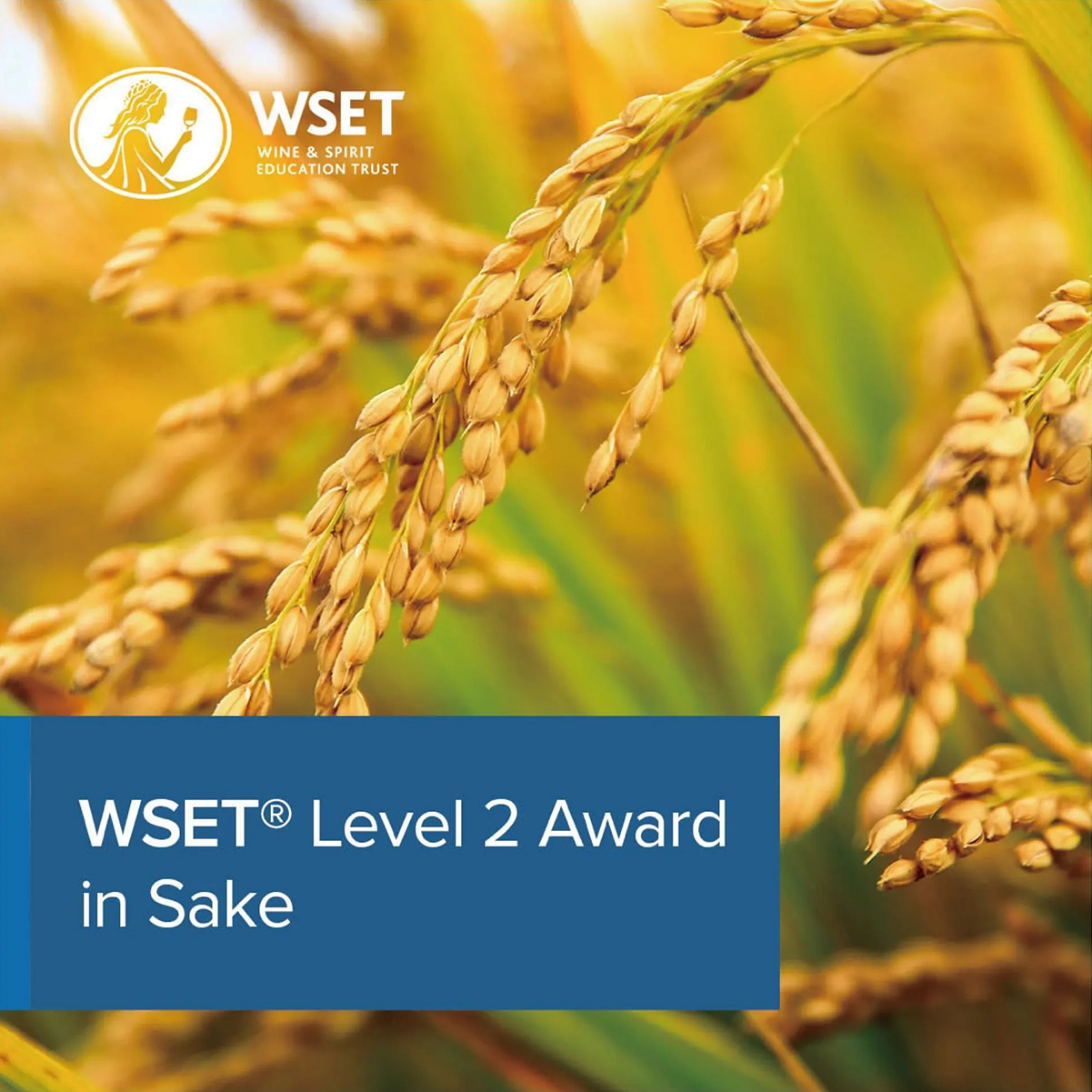 Level 2 Award in Sake